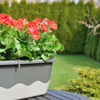 PLASTIA MARETA Donica samonawadniająca prostokątna 80x20 cm szary - 2