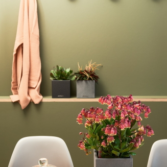  Lechuza Canto Stone flowerpot 14 cubes sand beige - 10