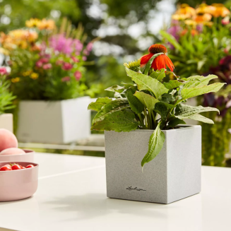  Lechuza Canto Stone flowerpot 14 cubes sand beige - 6