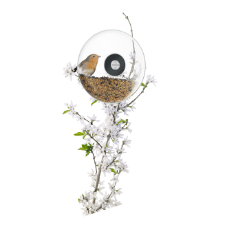  Eva Solo Window bird feeder 20 cm - 6
