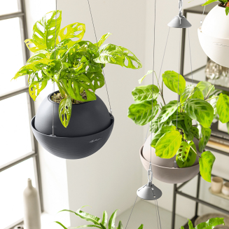 Lechuza Bola Color 23 suspended flowerpot, sand brown - 6