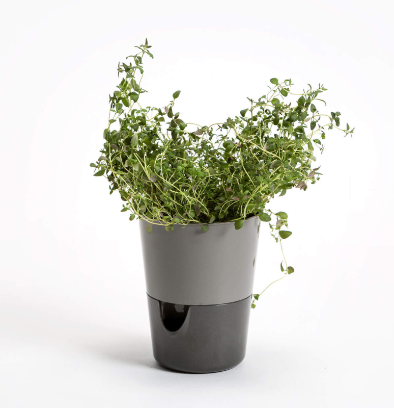 PLASTIA ROSMARIN Doniczka samonawadniająca 11 cm szary