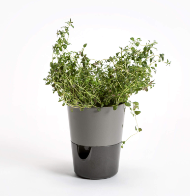 PLASTIA ROSMARIN Doniczka samonawadniająca 11 cm szary