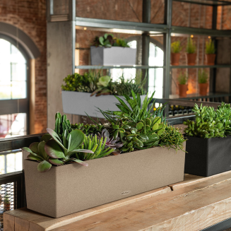  Lechuza Balconera Stone planter 50 | 80 sand beige - 9