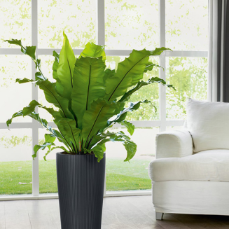  Lechuza Cilindro Color 23 planter sand brown - 10