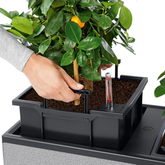  Lechuza Trio Stone planter 40 graphite black - 2