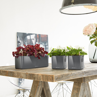 Lechuza Cube Glossy Triple flowerpot, glossy anthracite - 2