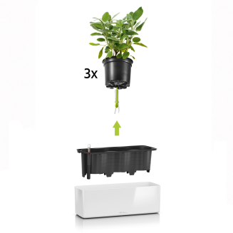 Lechuza Cube Glossy Triple flowerpot, glossy anthracite - 4