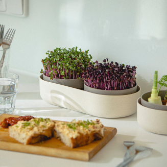 PLASTIA MICROGREENS Kiełkownica + pojemnik z filtrem 30.5x16 cm beżowy - 6