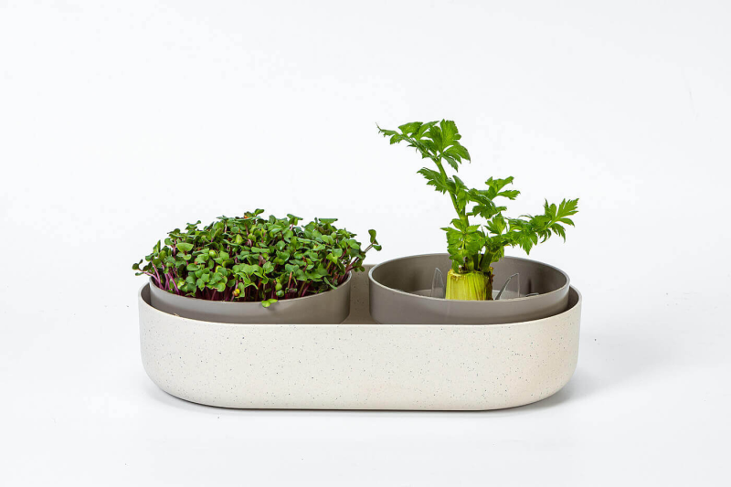 PLASTIA MICROGREENS Kiełkownica + pojemnik z filtrem 30.5x16 cm beżowy