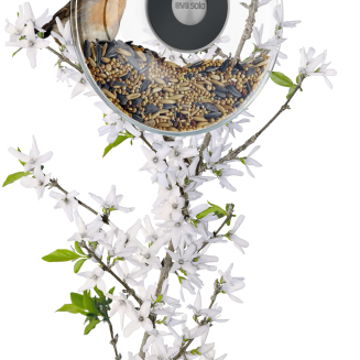  Eva Solo Window bird feeder 14 cm - 5