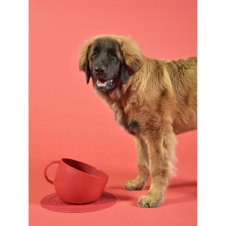 Miska dla psa United Pets Cup 2500 ml czerwona - 2