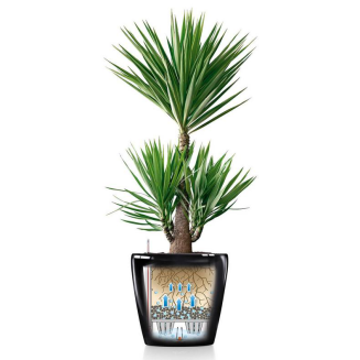  Lechuza Classico Premium 60 flowerpot | 70 silver metallic - 3