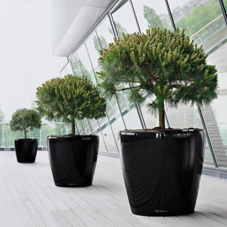  Lechuza Classico Premium 60 flowerpot | 70 silver metallic - 10