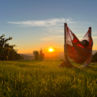  La Siesta Udine Outdoor Toucan hammock chair with stand - 10