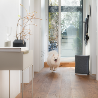  Stadler Form Roger Little 2 air purifier black | BUY CHEAPER WITH A DISCOUNT CODE - 6