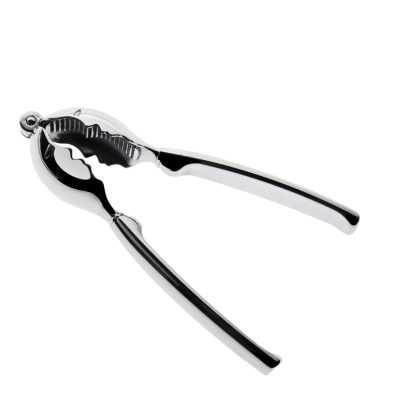  Nutcracker Casa Bugatti Kiss Chrome