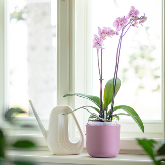 PLASTIA TOLITA AIR Donica samonawadniająca okrągła 16 cm beżowy - 8