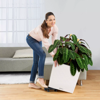  Lechuza Cube Cottage 30 planter | 40 | 50 light gray - 9
