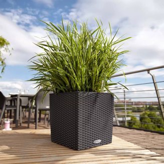  Lechuza Cube Cottage 30 planter | 40 | 50 light gray - 12