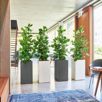  Lechuza Canto Premium 40 column anthracite metallic flowerpot - 7