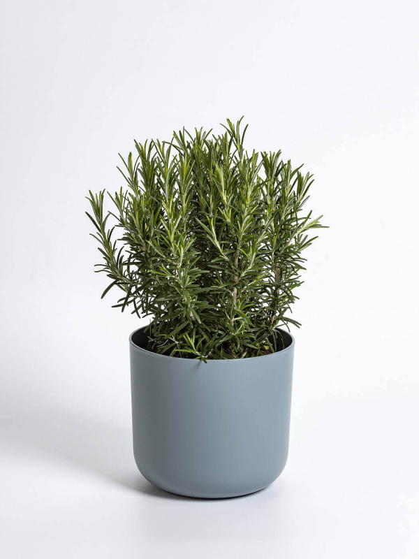 PLASTIA TOLITA Doniczka samonawadniająca okrągła z wkładem 19 cm szary