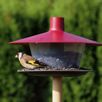 PLASTIA FINCH Karmnik dla ptaków 28.5x28.5 cm czerwony - 3