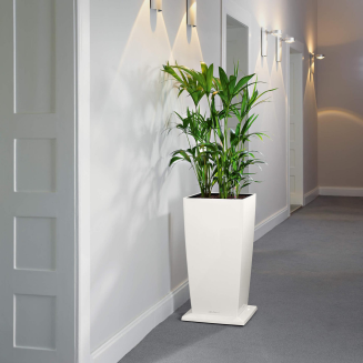  Lechuza Cubico 30 white planter base - 2