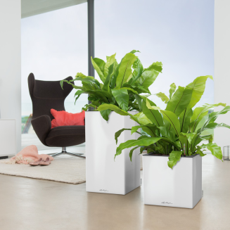 Lechuza Canto Premium 40 cube anthracite metallic flowerpot - 8