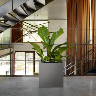 Lechuza Canto Premium 40 cube anthracite metallic flowerpot - 7