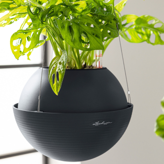 Lechuza Bola Color 32 suspended planter, sand brown - 6