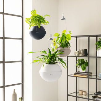 Lechuza Bola Color 32 suspended planter, sand brown - 5