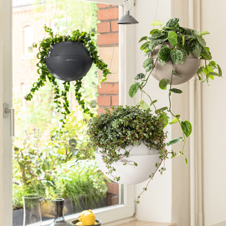 Lechuza Bola Color 32 suspended planter, sand brown - 4