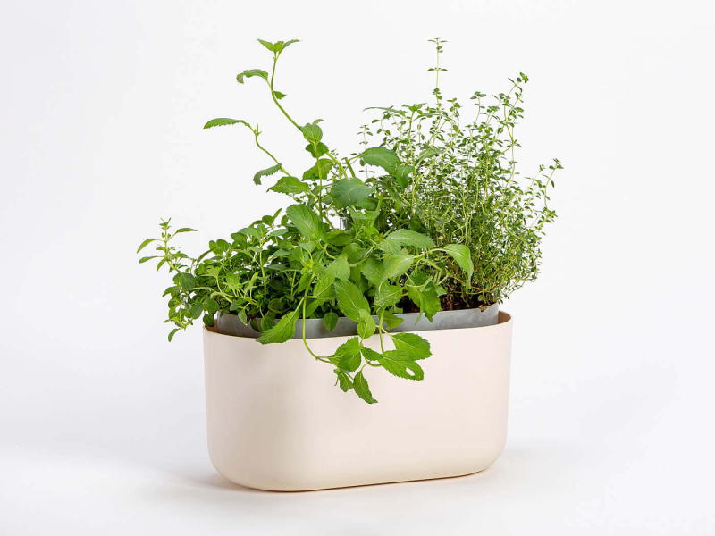 PLASTIA TOLITA Donica samonawadniająca prostokątna 31x16 cm beżowy