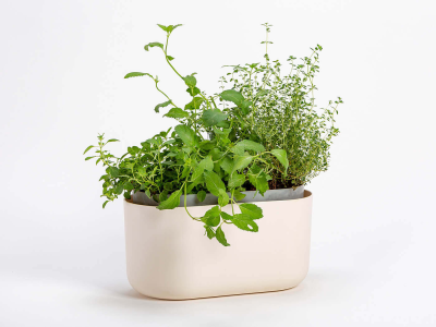 PLASTIA TOLITA Donica samonawadniająca prostokątna 31x16 cm beżowy