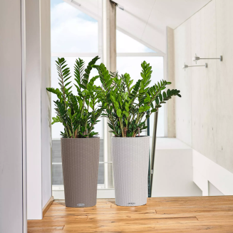  Lechuza flowerpot Cilindro Cottage 23 | 32 light gray - 4