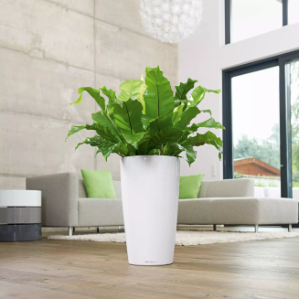  Lechuza Rondo Premium 32 flowerpot | 40 white gloss - 6