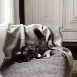 Koc Lapuan Kankurit KAAMOS white-brown 150x200 cm - 3