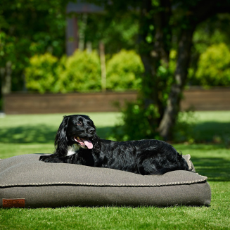 SACKit Dog bed Medium Brown dog bed - 2