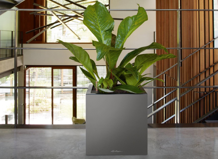 Lechuza pots. Perfect for a home on a terrace or balcony.