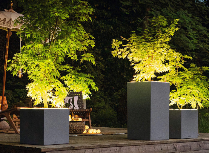 Illuminated Lechuza Canto LED planters. Perfect for home and terrace.