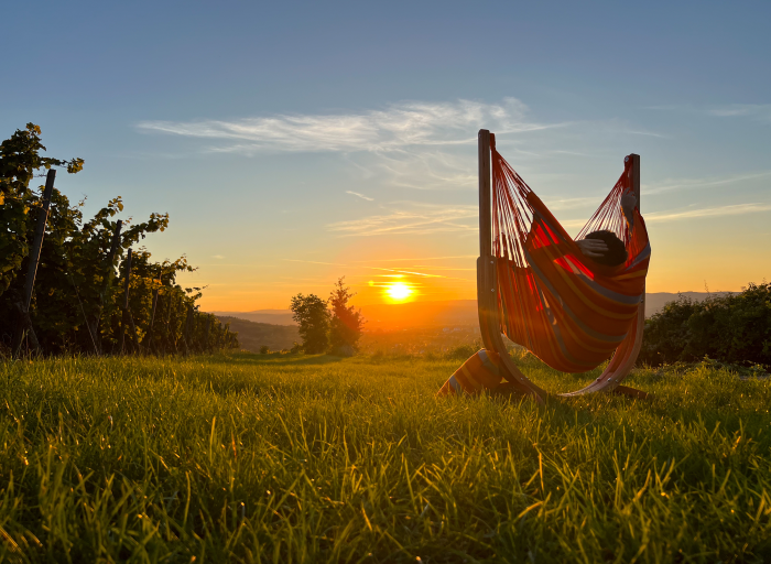 La Siesta Udine hammock chairs. Combination of comfort with ecology.