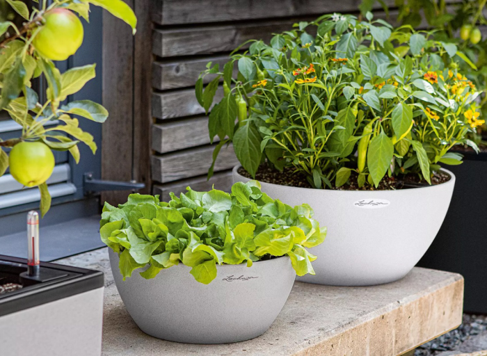 Our guide. How to plant plants in Lechuza pots.