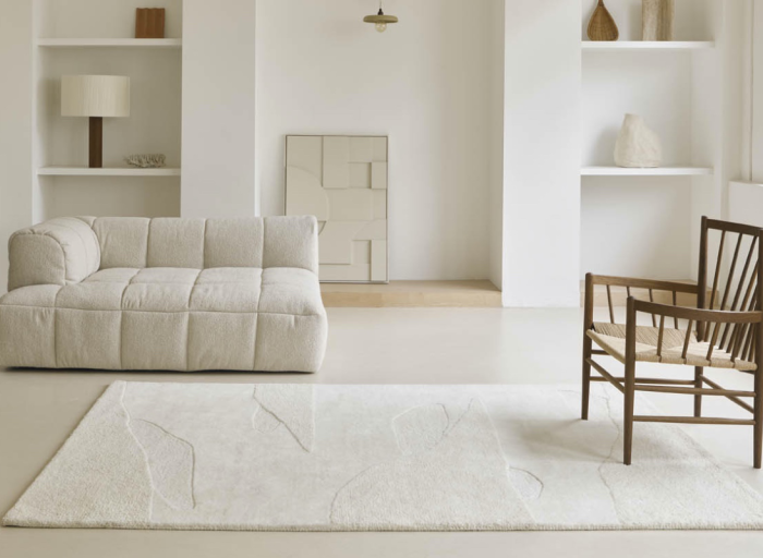 How to care for your carpet? Best practices for maintenance and cleaning