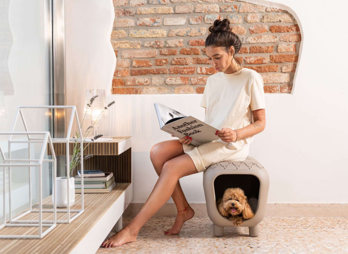 Design for animals. Intelligent accessories and beautiful items that change the everyday life of dogs and cats.